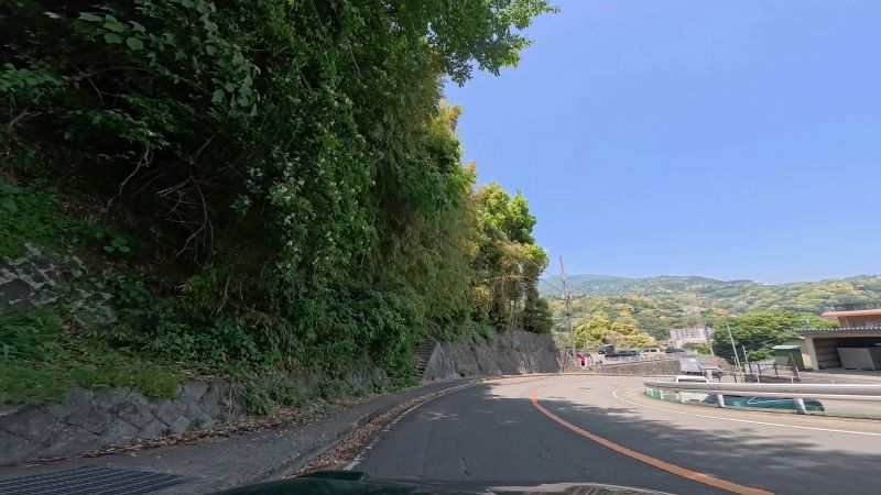 頼朝ライン